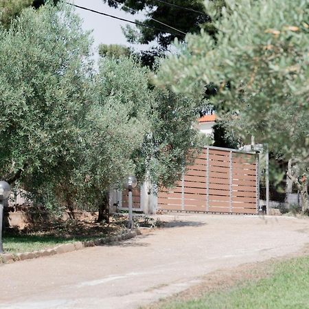 Apartamento Aelia Metamorfosi  Exterior foto