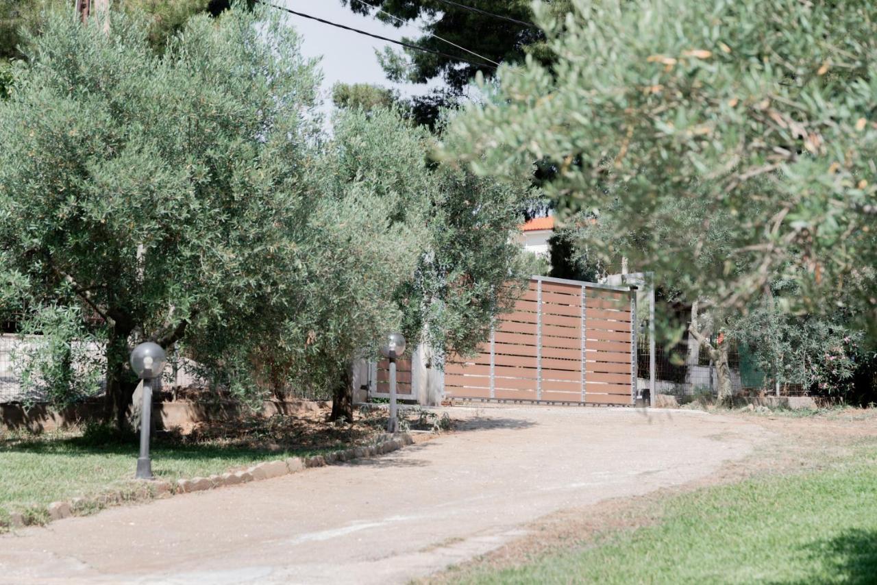 Apartamento Aelia Metamorfosi  Exterior foto